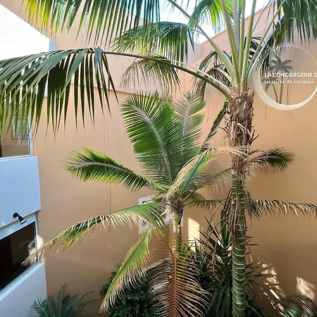La Frégate - Grand Avec Vue Sur La - Piscine * Carqueiranne